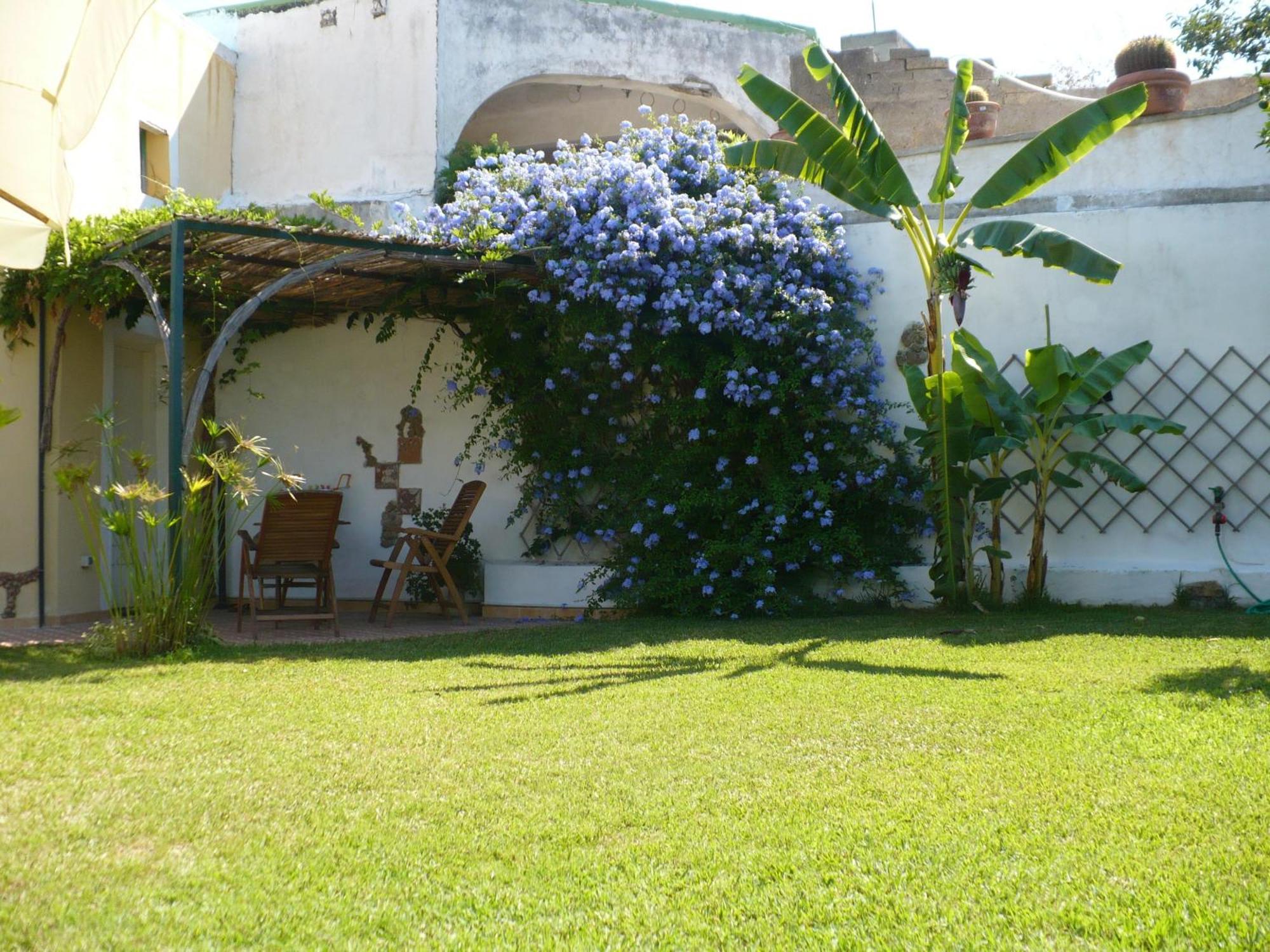 פרוסידה Hotel Savoia מראה חיצוני תמונה